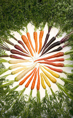 Image: USDA licensed under Creative Commons
